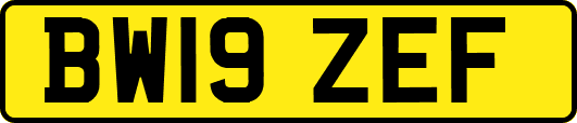 BW19ZEF