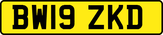BW19ZKD