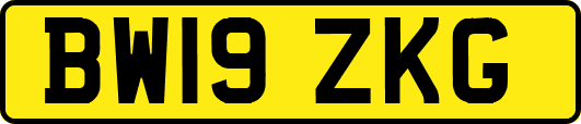 BW19ZKG