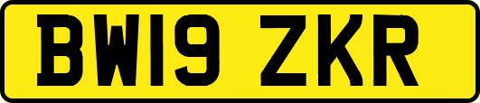 BW19ZKR
