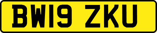 BW19ZKU