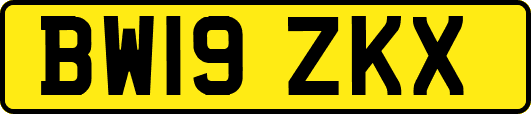 BW19ZKX