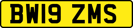 BW19ZMS