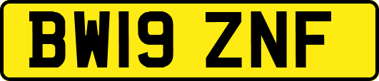 BW19ZNF