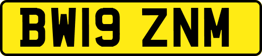 BW19ZNM