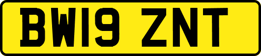 BW19ZNT