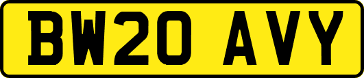 BW20AVY