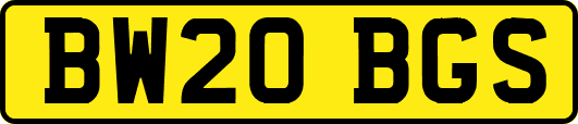 BW20BGS