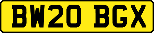 BW20BGX