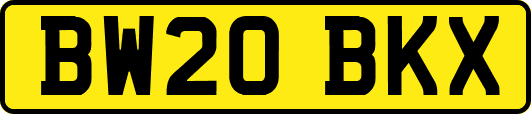 BW20BKX