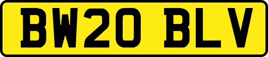 BW20BLV