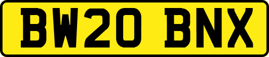BW20BNX