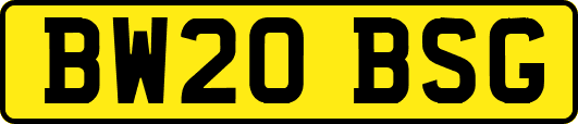 BW20BSG