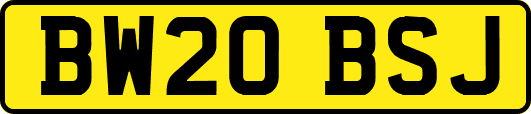 BW20BSJ