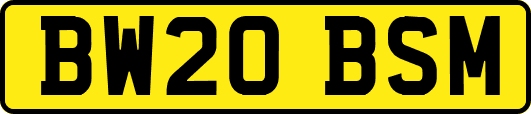 BW20BSM