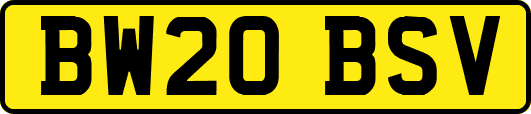 BW20BSV