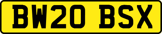 BW20BSX