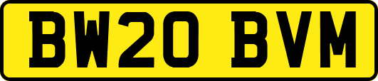BW20BVM