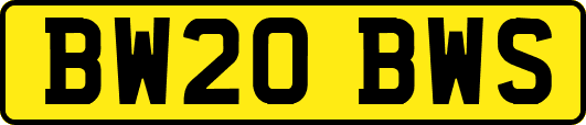 BW20BWS