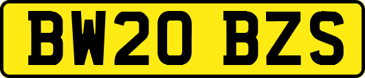 BW20BZS