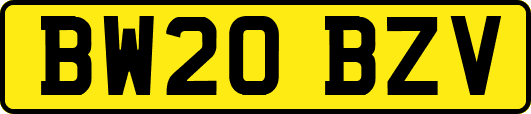 BW20BZV