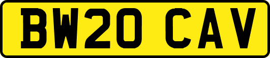 BW20CAV