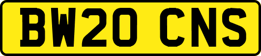 BW20CNS