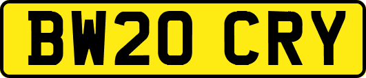 BW20CRY