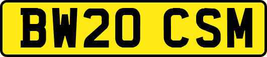 BW20CSM