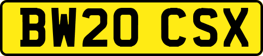 BW20CSX