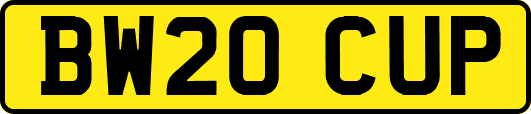 BW20CUP