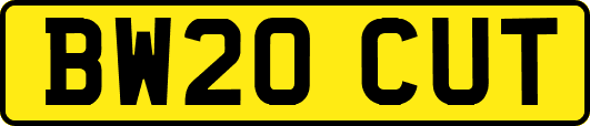 BW20CUT