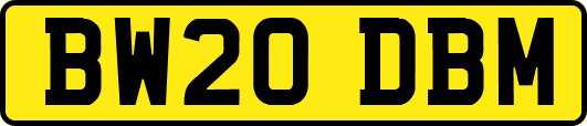 BW20DBM