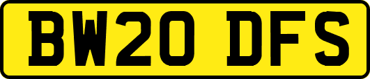 BW20DFS