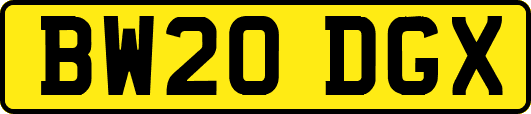 BW20DGX