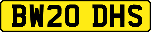 BW20DHS