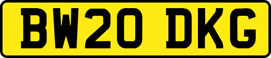 BW20DKG