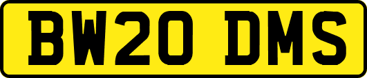 BW20DMS