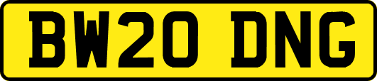 BW20DNG
