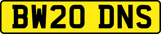 BW20DNS