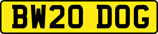 BW20DOG