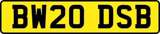 BW20DSB