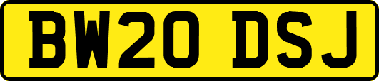 BW20DSJ