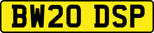 BW20DSP