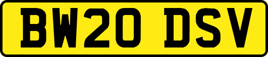 BW20DSV