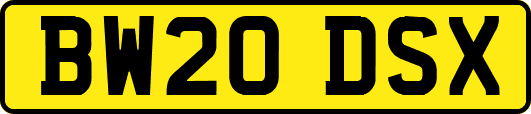 BW20DSX
