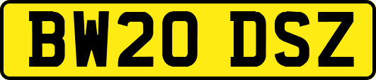 BW20DSZ