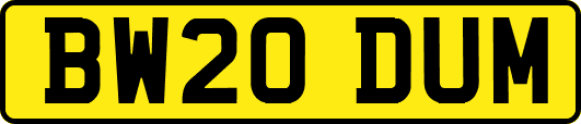 BW20DUM