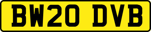 BW20DVB