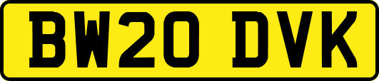BW20DVK